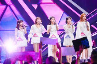 泉州王小姐最新爆料新闻,揭秘事件背后惊人真相